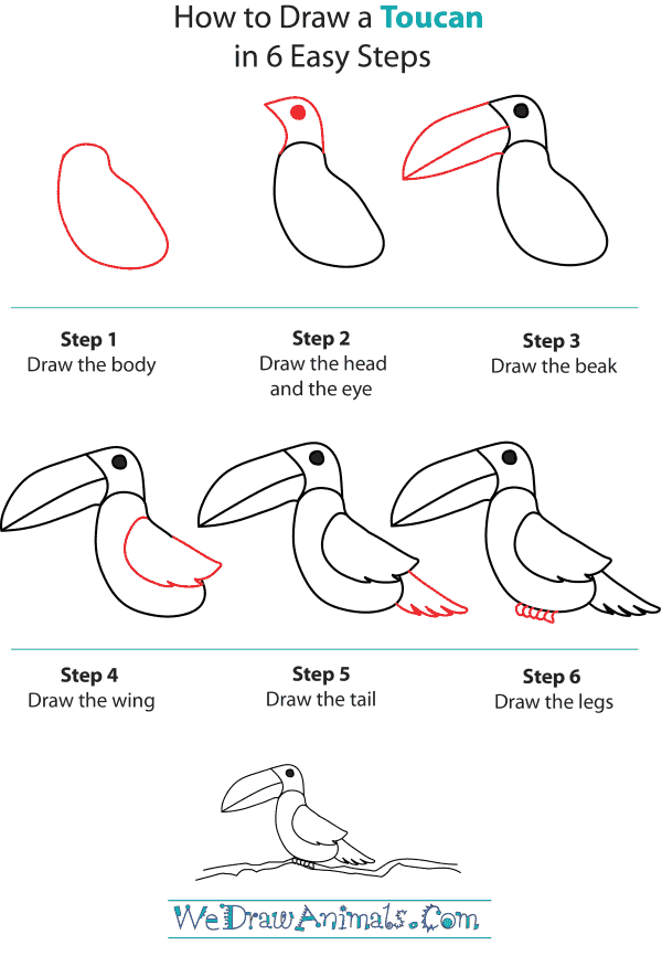 How To Draw A Toucan - Step-by-Step Tutorial