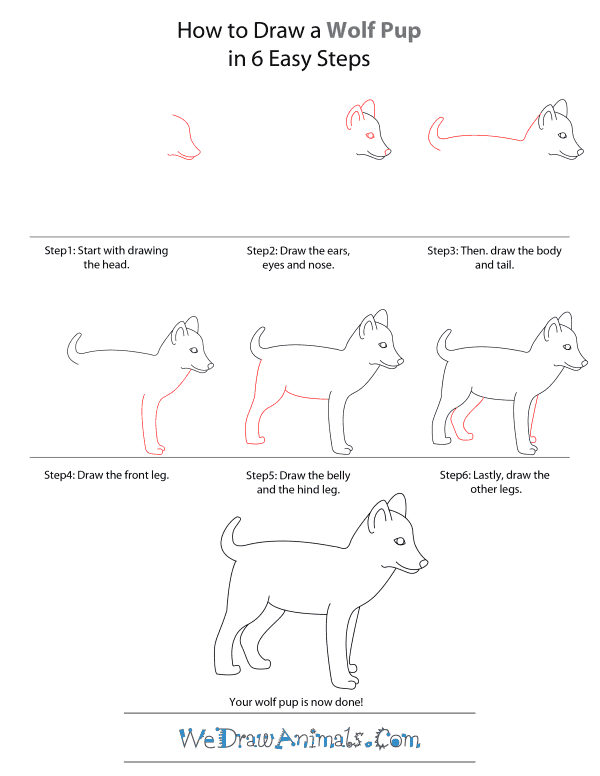How To Draw A Wolf Pup - Step-by-Step Tutorial
