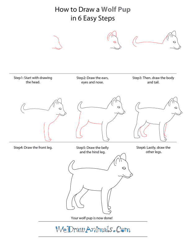 how to draw an anime wolf pup step by step