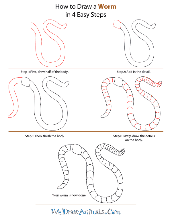 How To Draw A Worm - Step-by-Step Tutorial