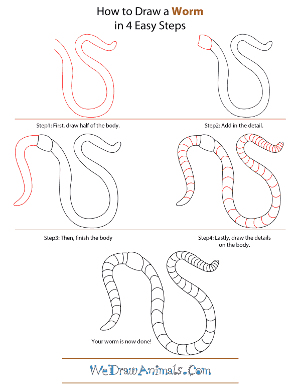 Earthworm Drawing Easy  Easy drawings, Elementary drawing