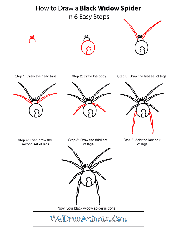 How To Draw A Black Widow Spider - Step-by-Step Tutorial