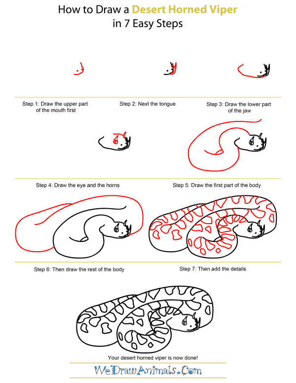 How To Draw A Desert Horned Viper - Step-by-Step Tutorial