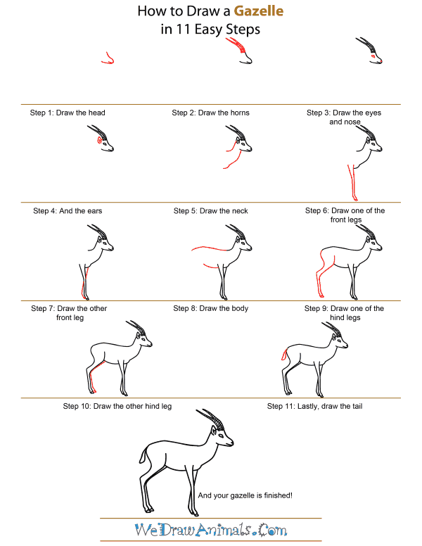 How To Draw A Gazelle - Step-by-Step Tutorial