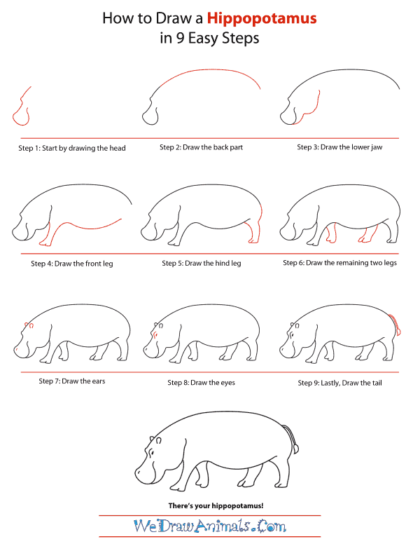 How To Draw A Hippopotamus - Step-by-Step Tutorial