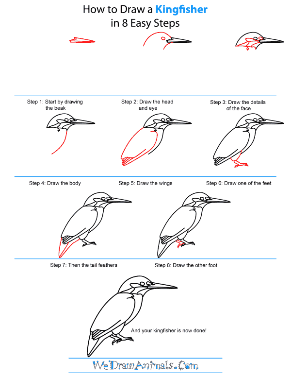 How To Draw A Kingfisher - Step-by-Step Tutorial