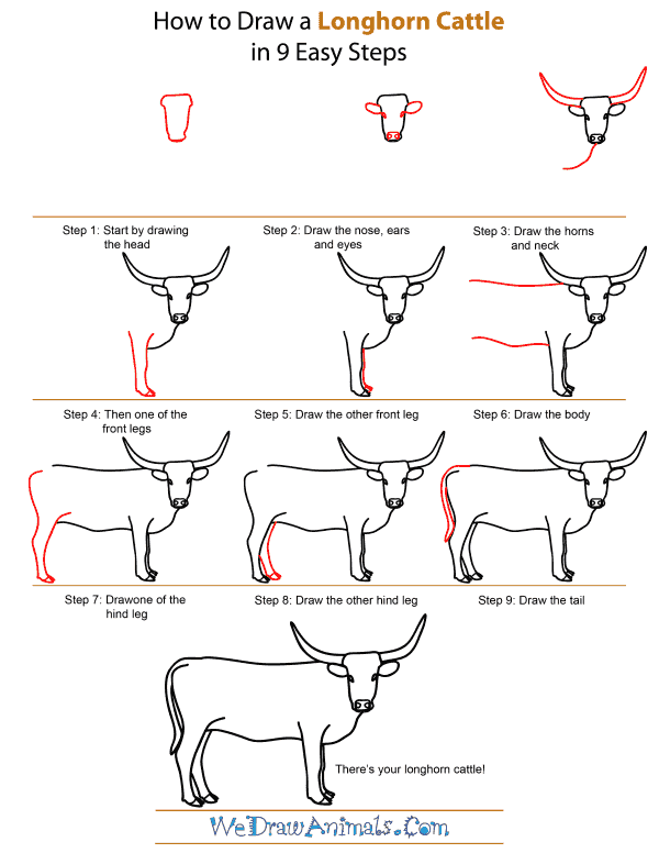 How To Draw A Longhorn Cattle - Step-by-Step Tutorial