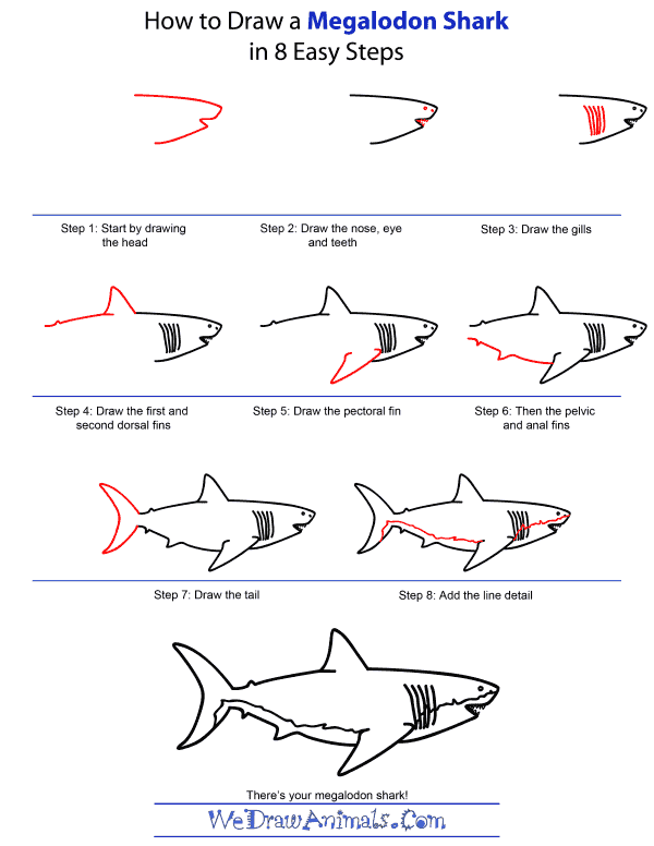 How To Draw A Megalodon Shark - Step-by-Step Tutorial