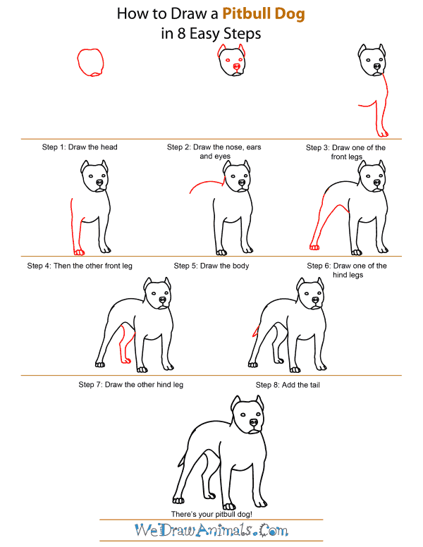 How To Draw A Pitbull Dog - Step-by-Step Tutorial