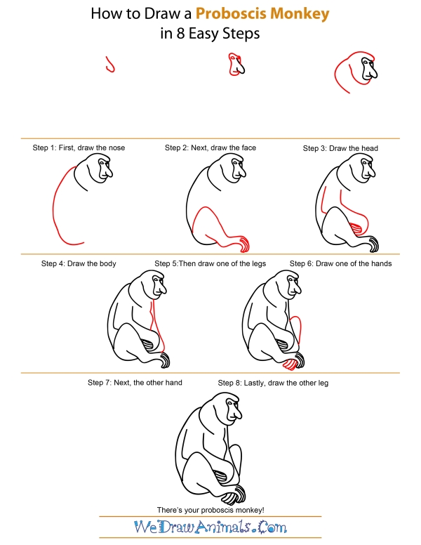 How To Draw A Proboscis Monkey - Step-by-Step Tutorial