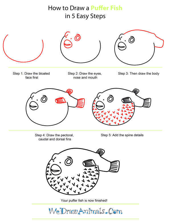How To Draw A Puffer Fish - Step-by-Step Tutorial