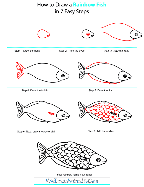 How To Draw A Rainbow Fish - Step-by-Step Tutorial