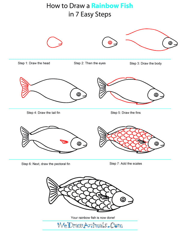 How To Draw Fish Easy, Rainbow Fish Drawing