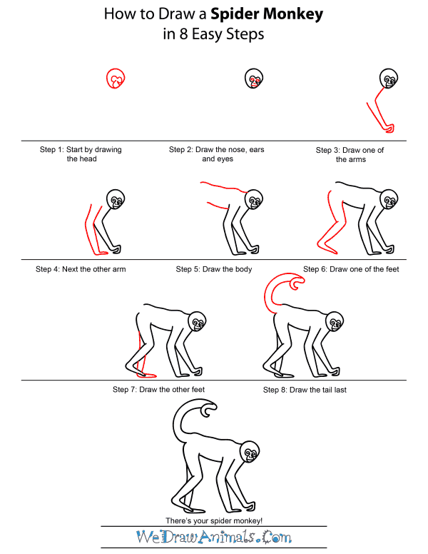 How To Draw A Spider Monkey - Step-by-Step Tutorial