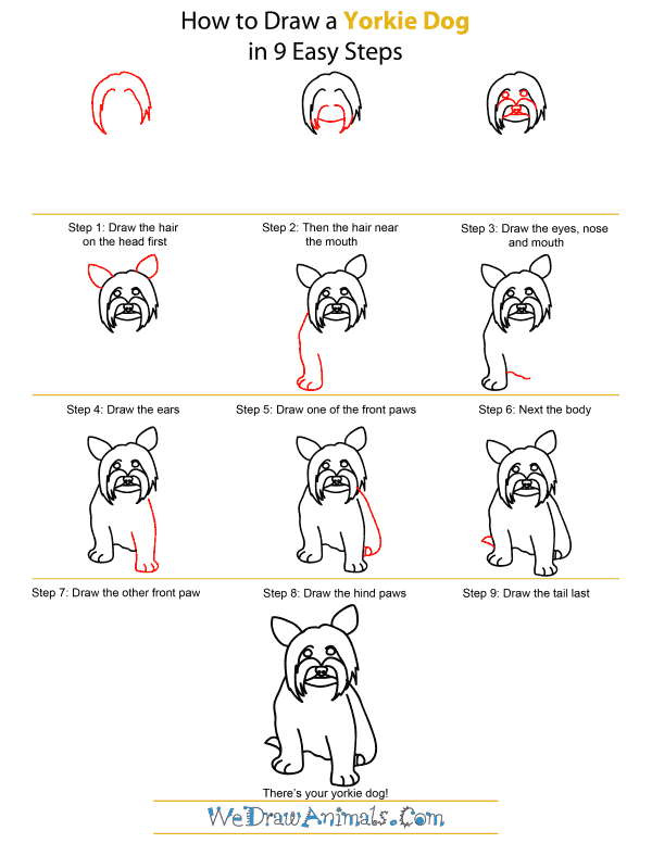 How To Draw A Yorkie Dog - Step-by-Step Tutorial