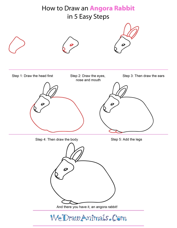 How To Draw An Angora Rabbit - Step-by-Step Tutorial