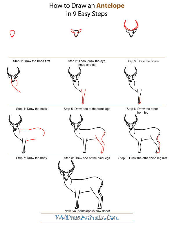How To Draw An Antelope - Step-by-Step Tutorial