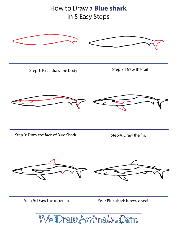 How To Draw A Blue Sharkt - Step-By-Step Tutorial