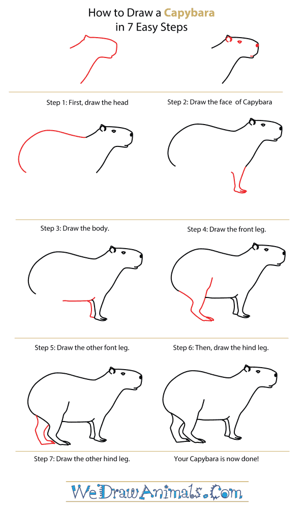 How To Draw A Capybara - Step-By-Step Tutorial