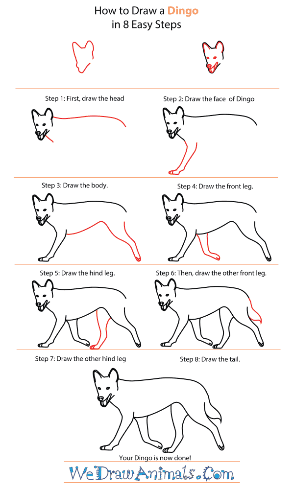 Featured image of post How To Draw A Cute Dingo It s very easy to draw