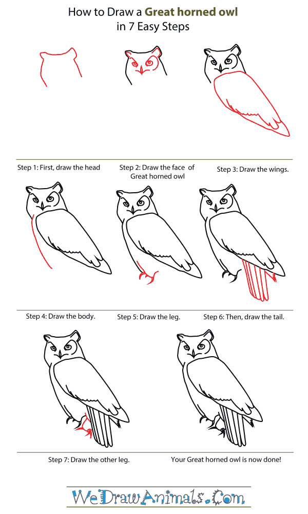 How To Draw A Great Horned Owl - Step-By-Step Tutorial