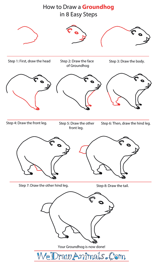 How to Draw a Groundhog - Step-by-Step Tutorial