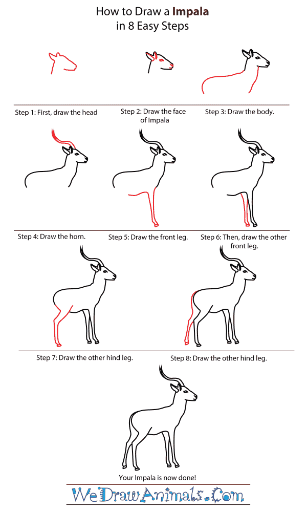 How To Draw A Impala - Step-By-Step Tutorial