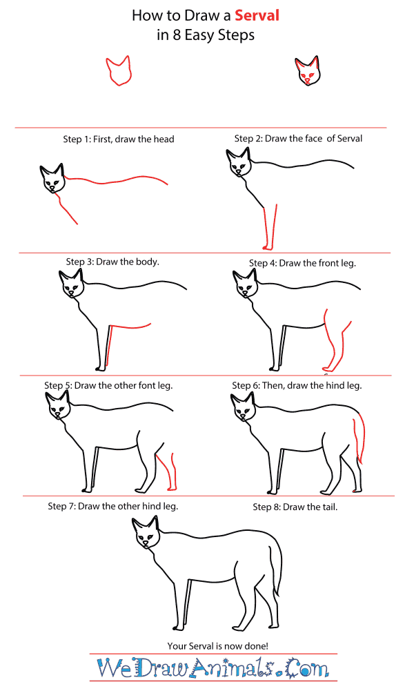 How To Draw A Serval - Step-By-Step Tutorial