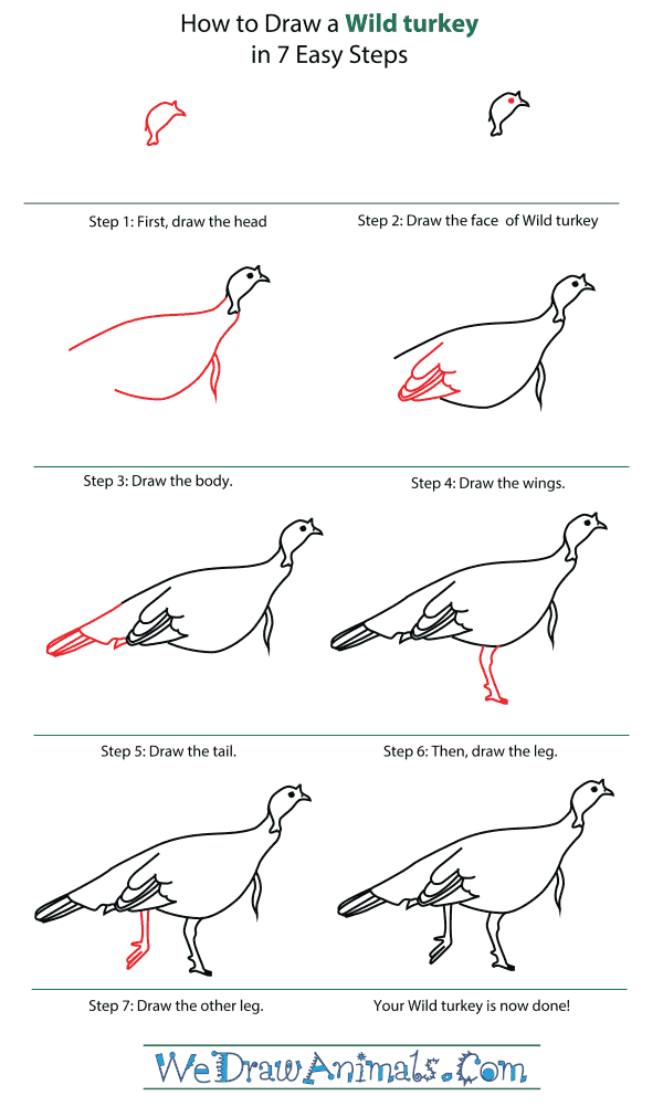 how to draw a turkey step by step