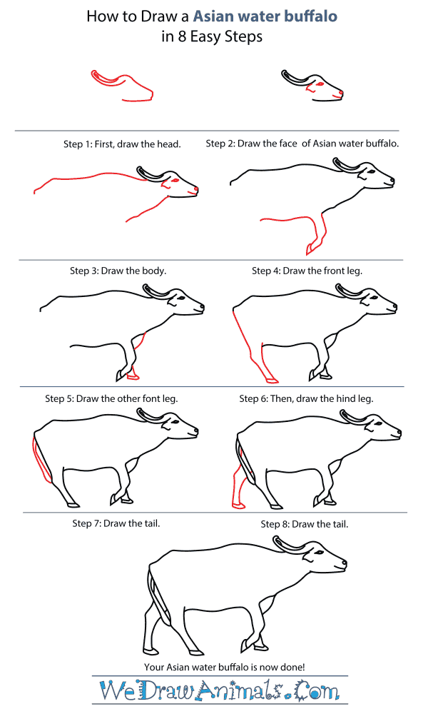 How To Draw An Asian water buffalo - Step-By-Step Tutorial