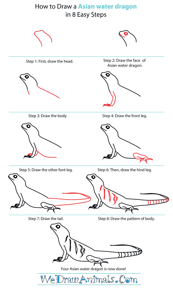 How To Draw An Asian water dragon - Step-By-Step Tutorial