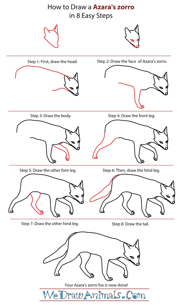 How To Draw An Azara's zorro - Step-By-Step Tutorial