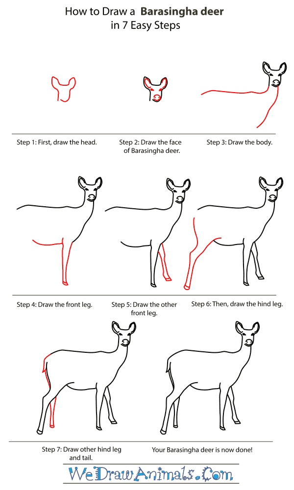 How To Draw A Barasingha deer - Step-By-Step Tutorial
