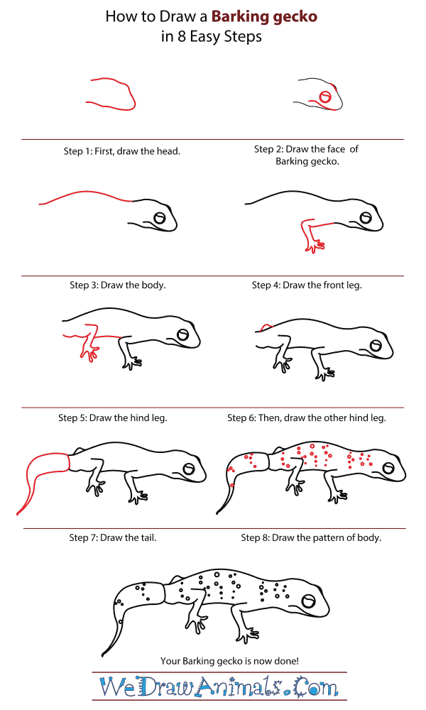 How To Draw A Barking gecko - Step-By-Step Tutorial
