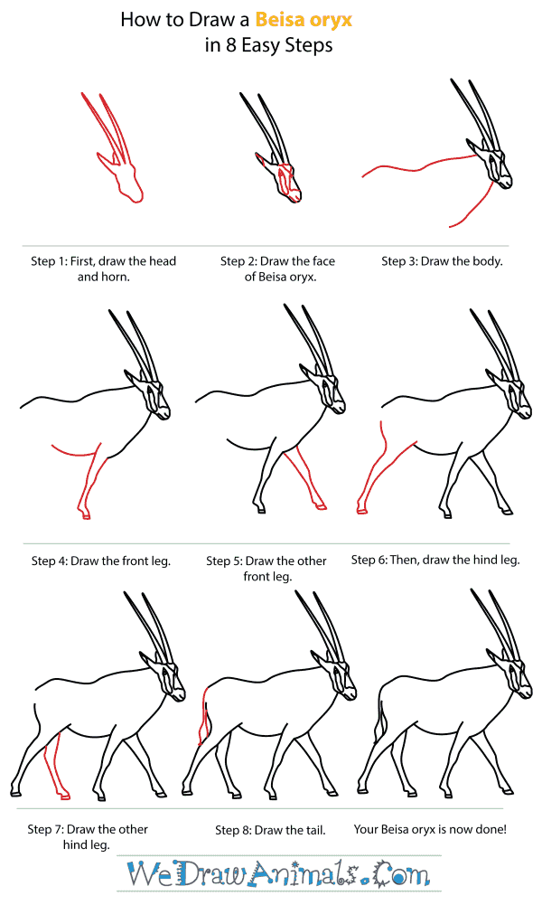 How To Draw A Beisa oryx - Step-By-Step Tutorial