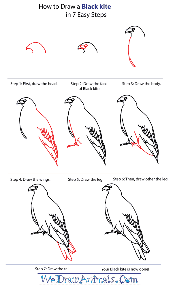 How To Draw A Black Kite - Step-By-Step Tutorial