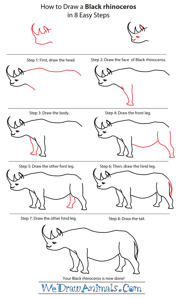 How To Draw A Black Rhinoceros - Step-By-Step Tutorial