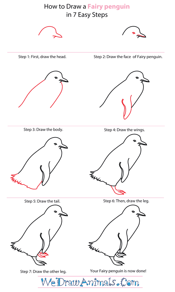 How To Draw A Fairy penguin - Step-By-Step Tutorial