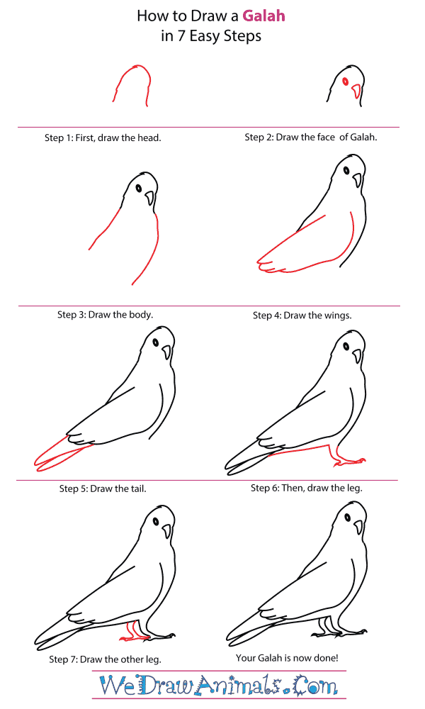 pdf