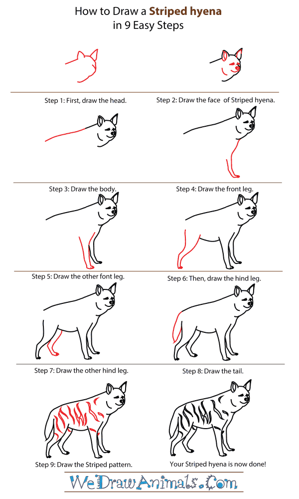 How To Draw A Striped hyena - Step-By-Step Tutorial