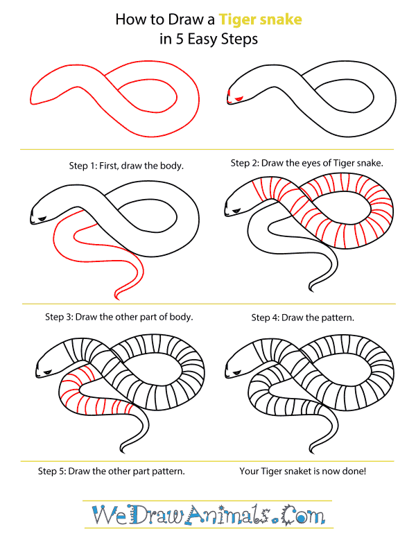 How To Draw A Tiger snake - Step-By-Step Tutorial