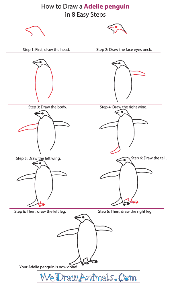 How to Draw an Adelie Penguin - Step-by-Step Tutorial