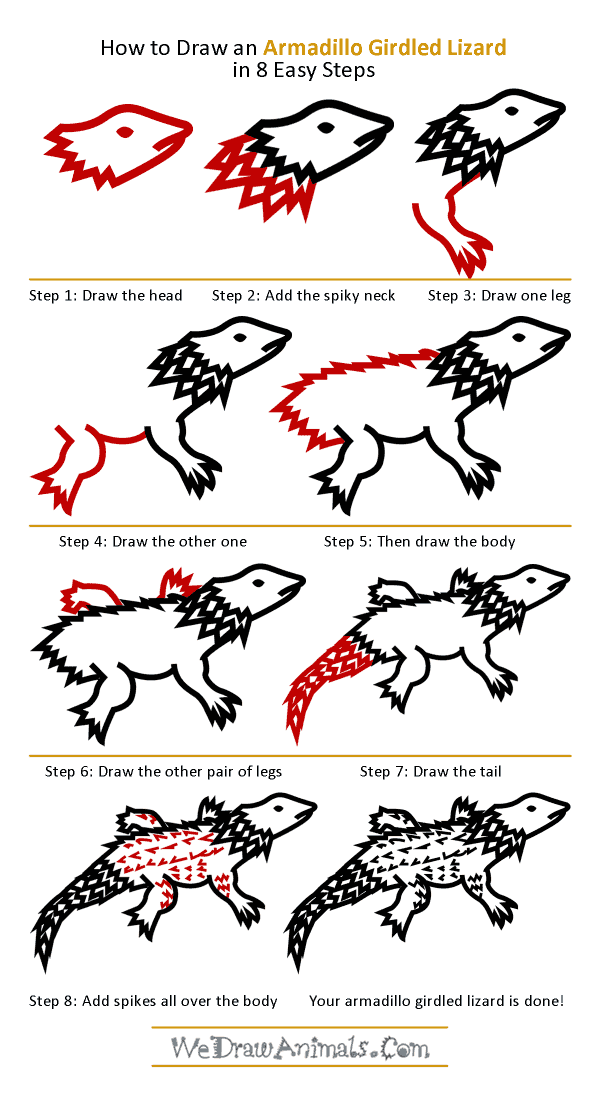 How to Draw an Armadillo Girdled Lizard - Step-by-Step Tutorial