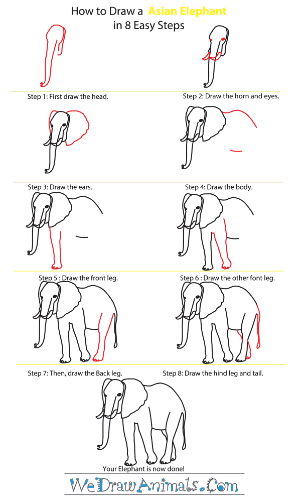How to Draw an Asian Elephant - Step-By-Step Tutorial