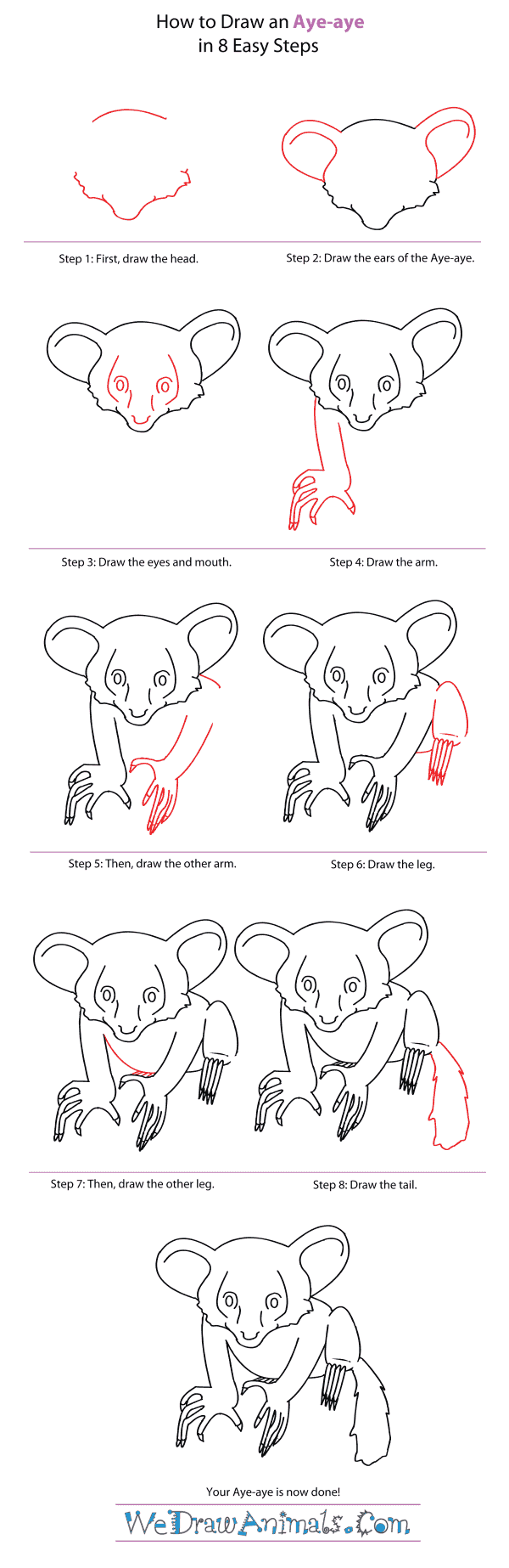 How to Draw an Aye-Aye - Step-By-Step Tutorial