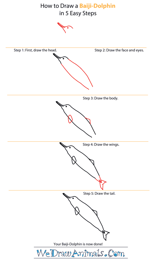 How to Draw a Baiji - Step-by-Step Tutorial