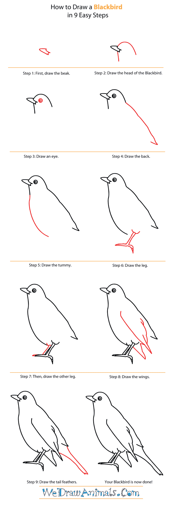 How to Draw a Blackbird - Step-By-Step Tutorial