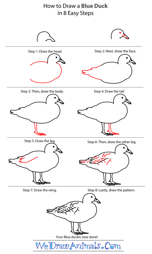 How to Draw a Blue Duck - Step-by-Step Tutorial