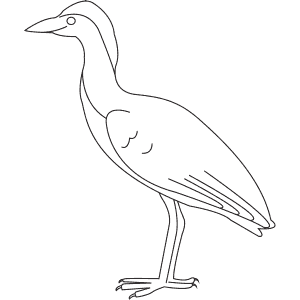 How To Draw a Cattle Egret - Step-By-Step Tutorial
