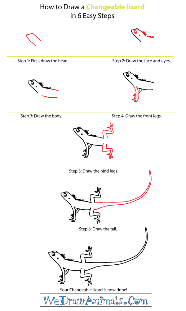 How to Draw a Changeable Lizard - Step-by-Step Tutorial